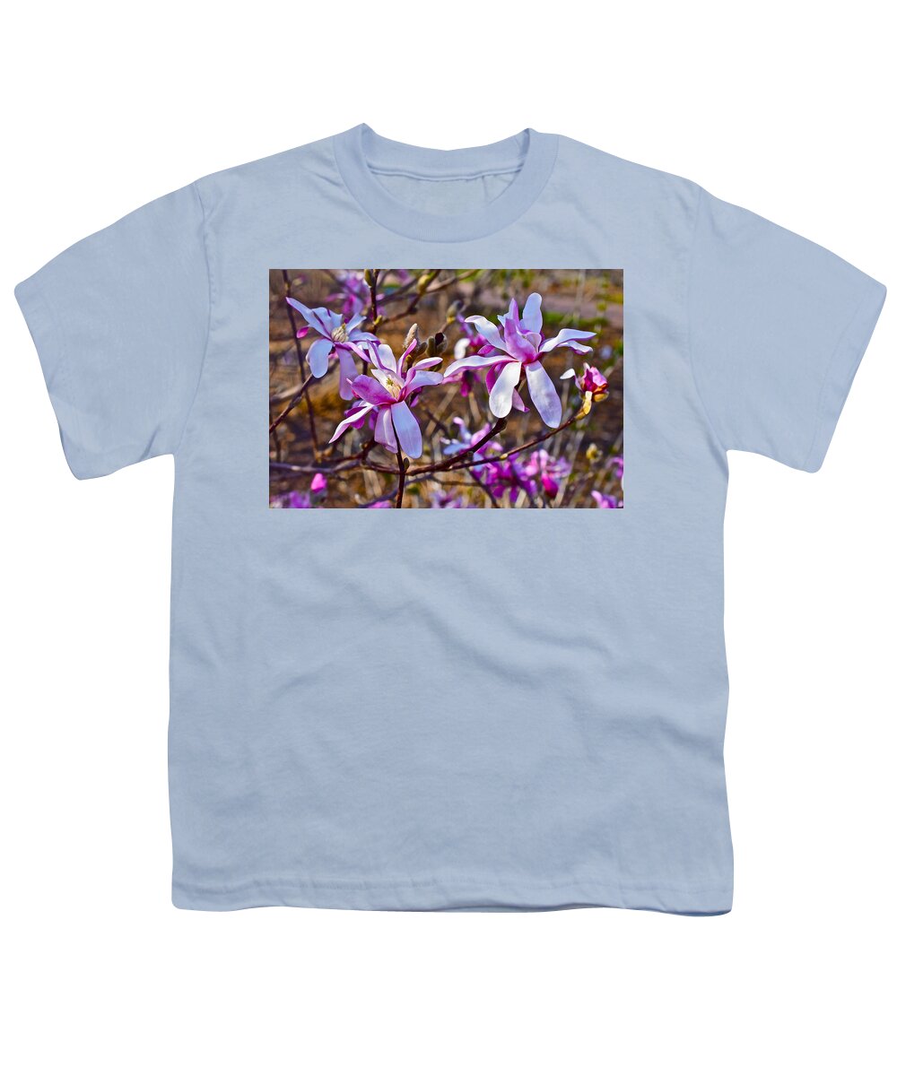 Magnolias Youth T-Shirt featuring the photograph 2016 Early Spring Loebner Magnolias 6 by Janis Senungetuk
