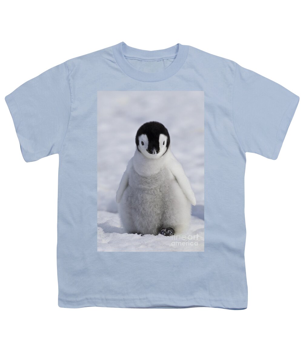 Emperor Penguin Youth T-Shirt featuring the photograph Emperor Penguin Chick #3 by Jean-Louis Klein & Marie-Luce Hubert