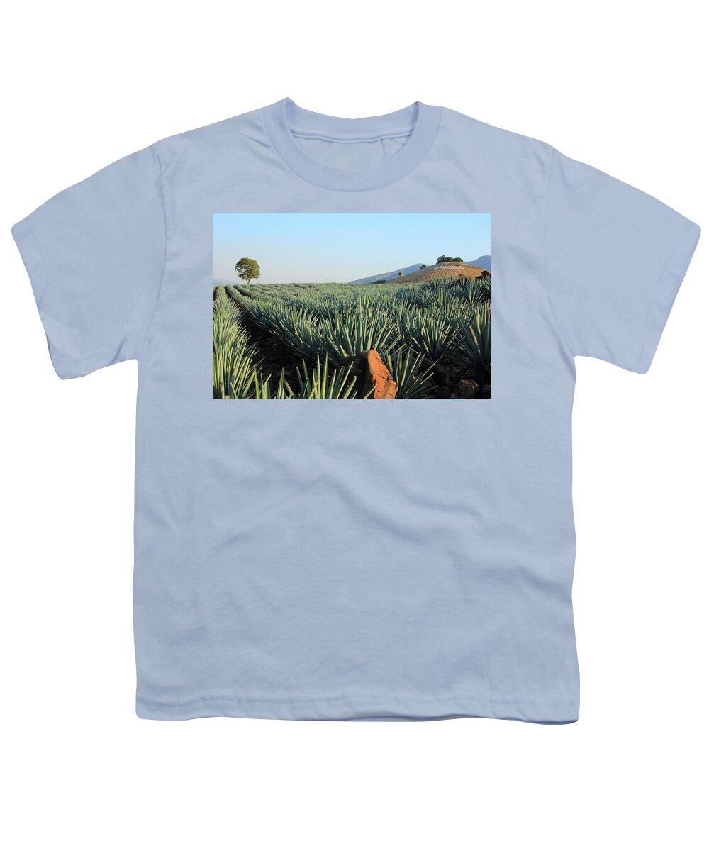 Agave Youth T-Shirt featuring the photograph Agave Fields by Robert McKinstry