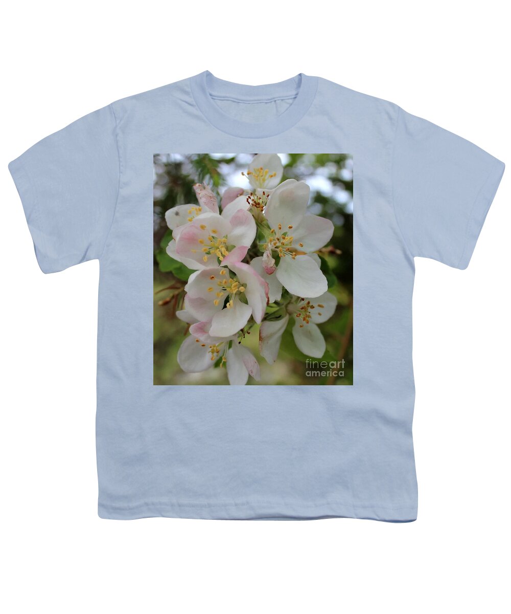 Barbara Griffin Youth T-Shirt featuring the photograph Apple Blossom Special 2 by Barbara A Griffin