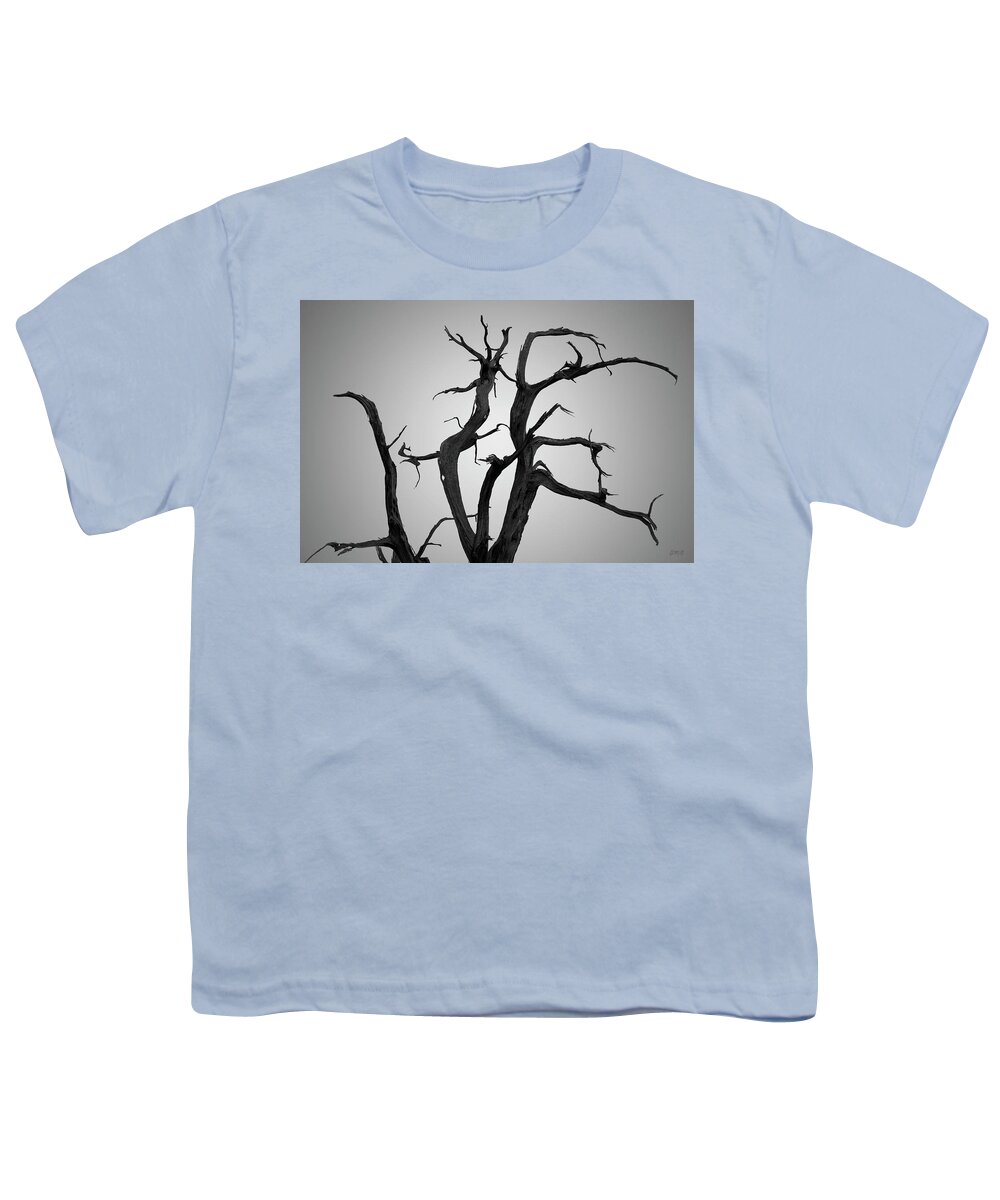 Arches Youth T-Shirt featuring the photograph Arches NP XIX BW by David Gordon