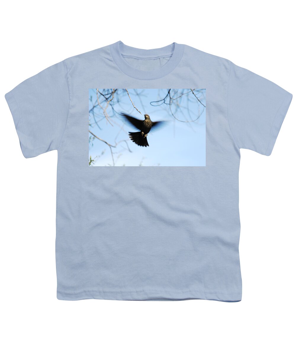 Bird Youth T-Shirt featuring the photograph Ascension by Donna Blackhall