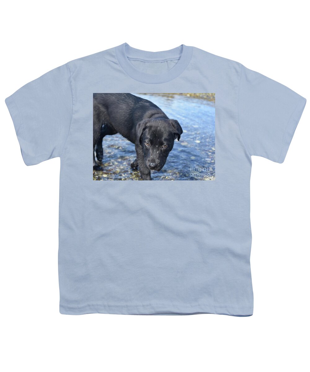 Labrador Youth T-Shirt featuring the photograph Beautiful Black Lab with Chestnut Brown Eyes by DejaVu Designs