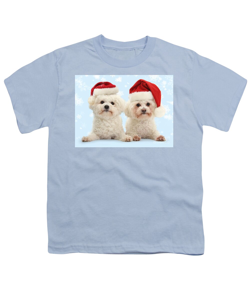 Bichon Frises Youth T-Shirt featuring the photograph Bichon Frises in Santa hats by Warren Photographic