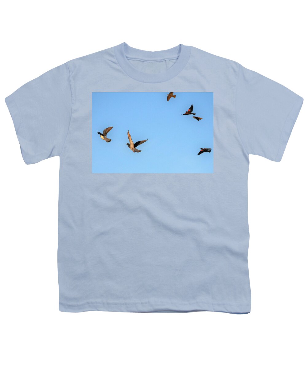 Bird Youth T-Shirt featuring the photograph Birds in Flight by Kim Bemis