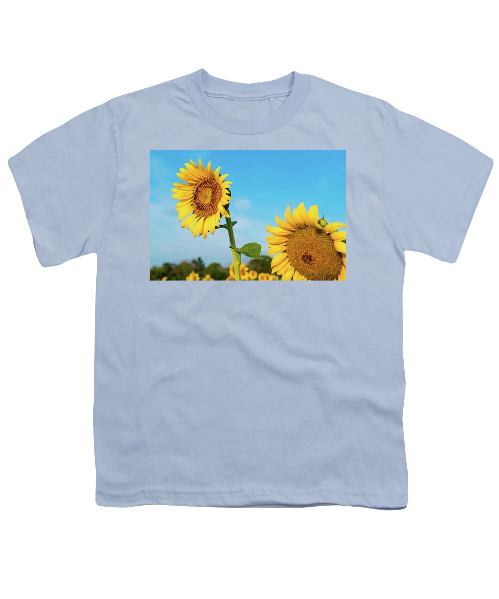 Bloom Youth T-Shirt featuring the photograph Blooming Sunflower in Blue Sky by Dennis Dame