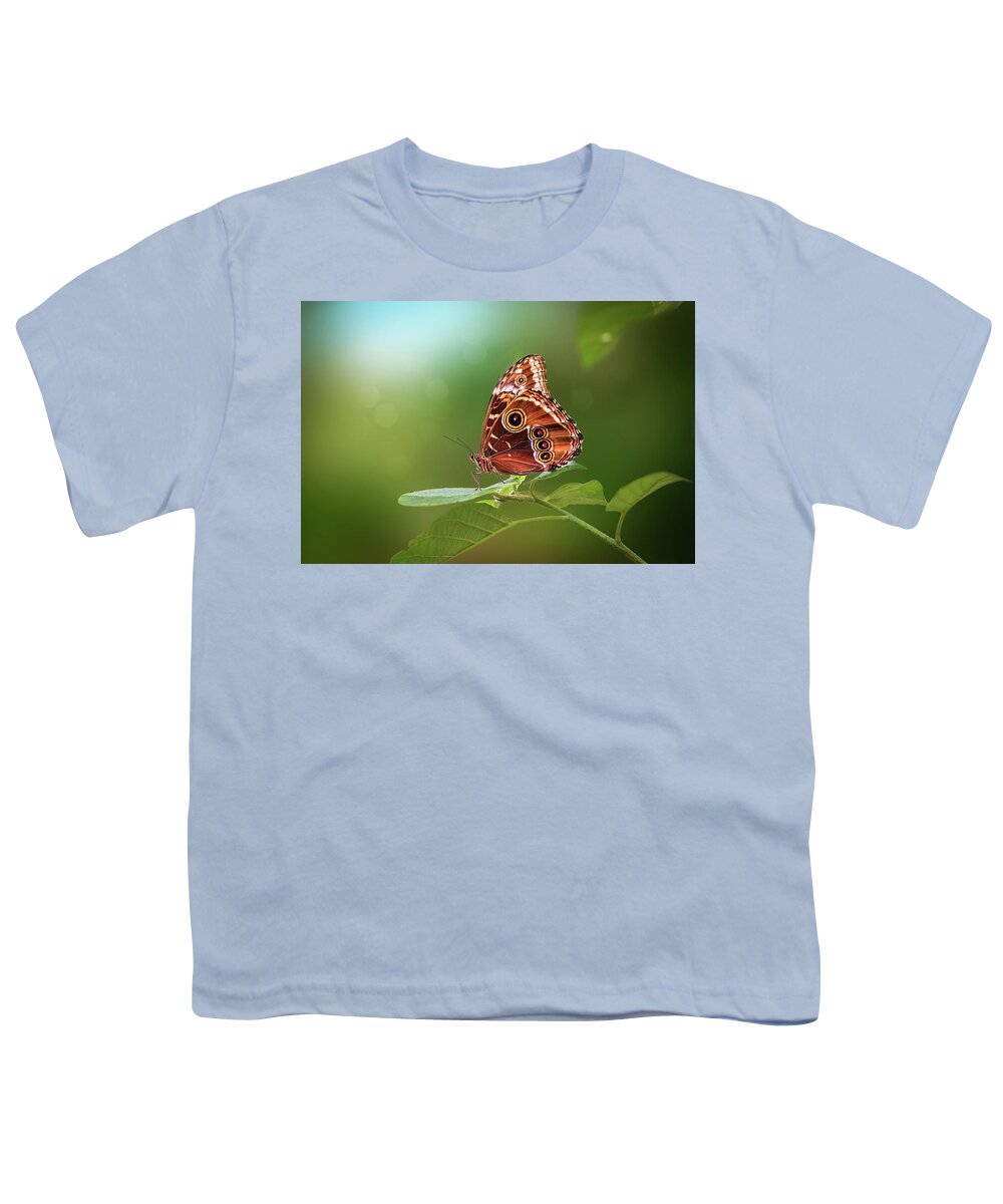Butterfly Youth T-Shirt featuring the photograph Blue Morpho Butterfly by Tim Abeln