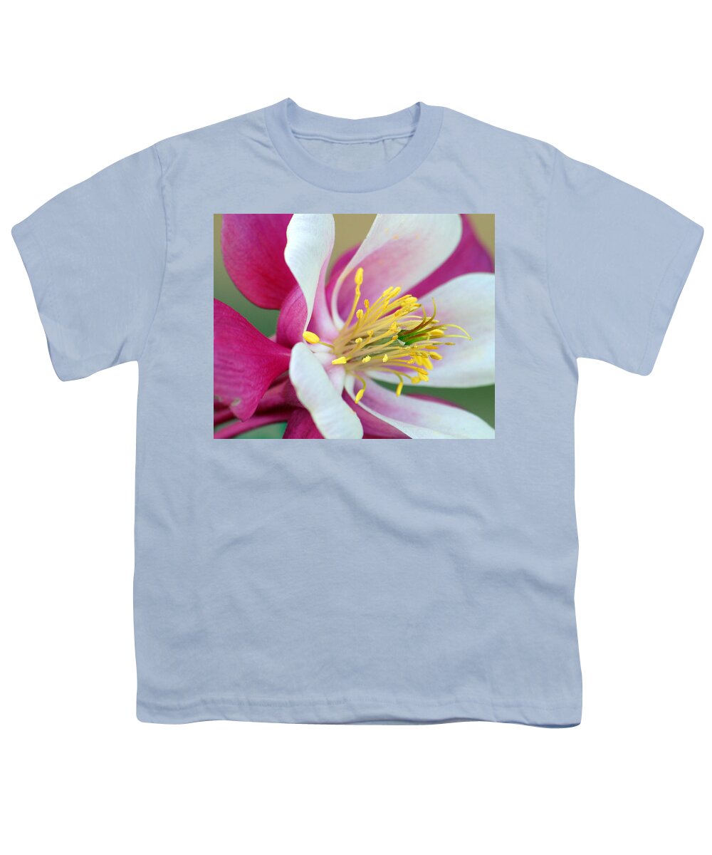 Columbine Youth T-Shirt featuring the photograph Columbine Flower 2 by Amy Fose