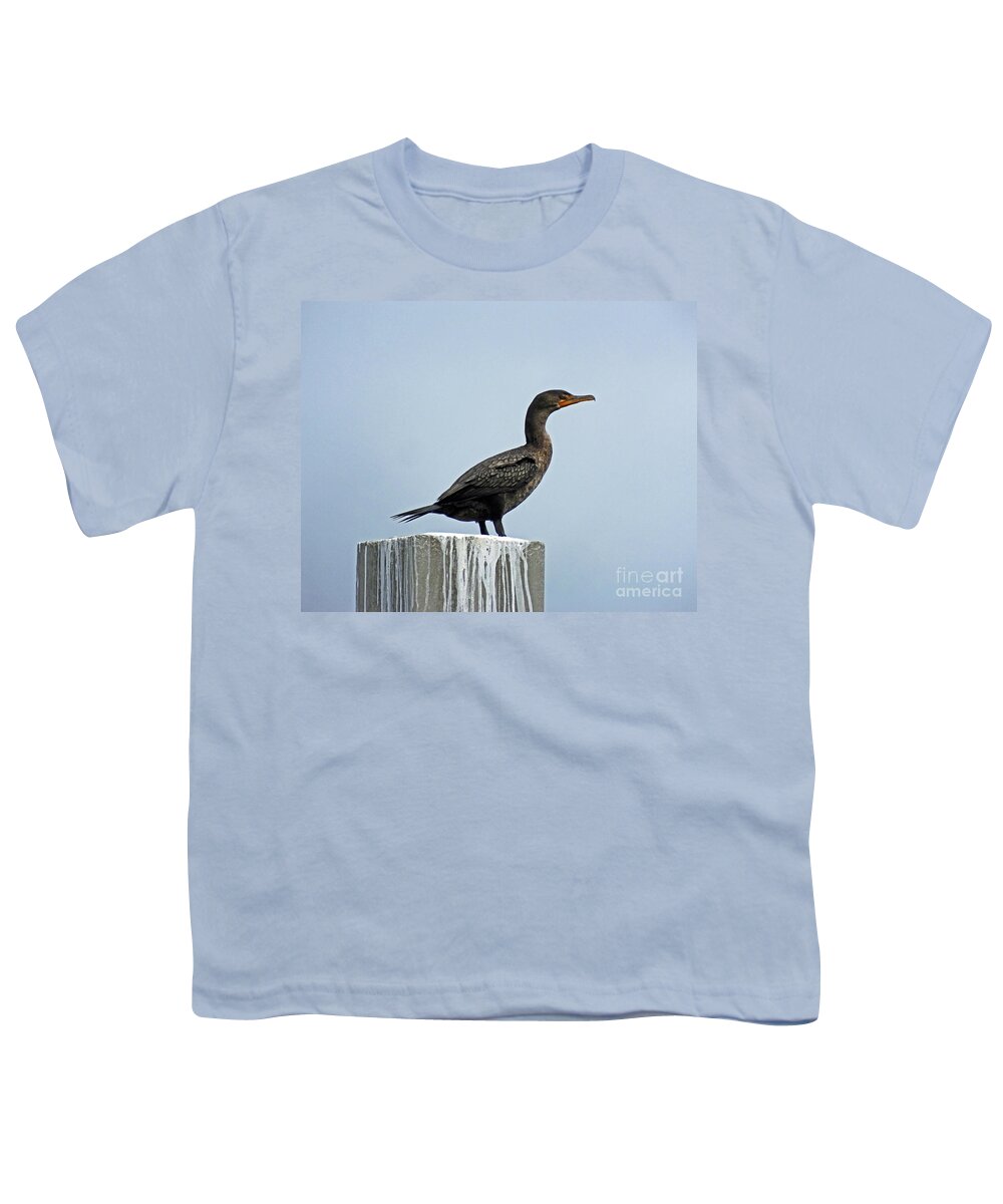 Bird Youth T-Shirt featuring the photograph Cormorant Perdido Key by Lizi Beard-Ward