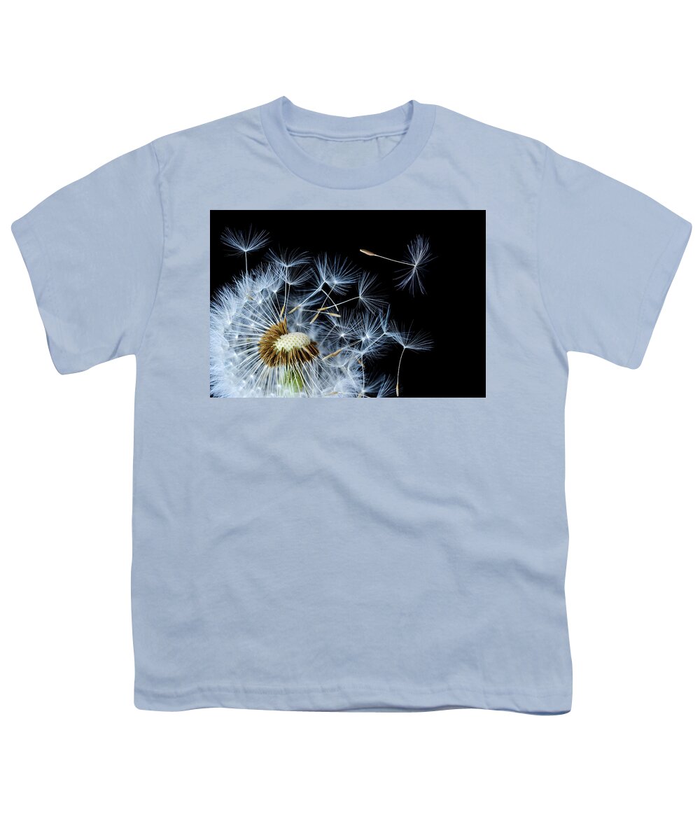 Abstract Youth T-Shirt featuring the photograph Dandelion on black background by Bess Hamiti