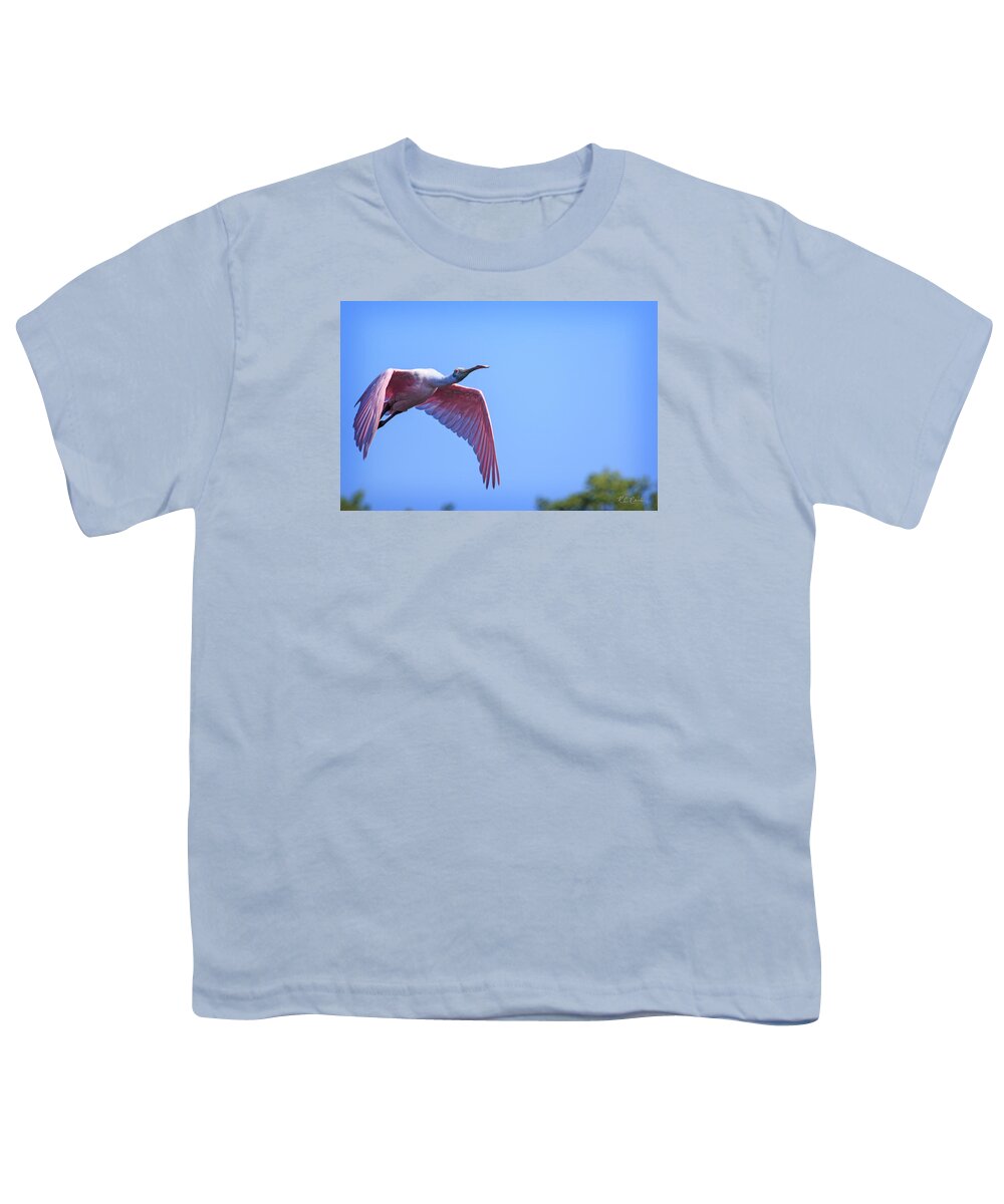 Florida Youth T-Shirt featuring the photograph Ding Darling - Roseate Spoonbill - In Flight to Shallow Water by Ronald Reid