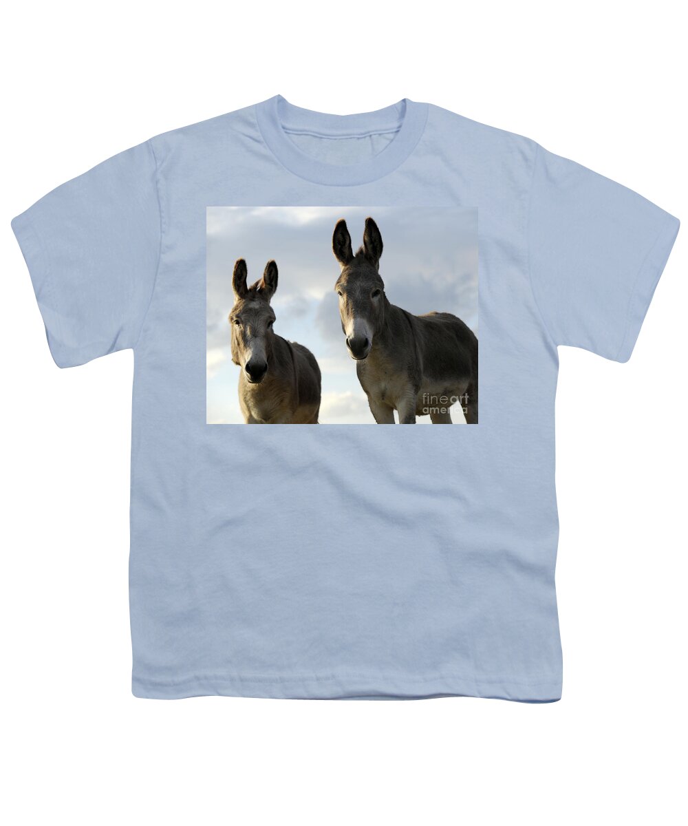 Donkeys Youth T-Shirt featuring the photograph Donkeys #599 by Carien Schippers