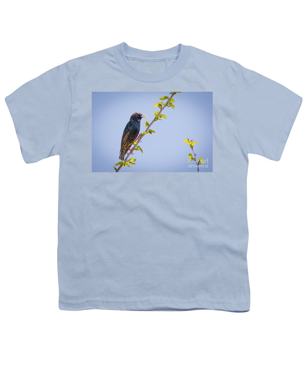 Animalia Youth T-Shirt featuring the photograph European Starling by Jivko Nakev