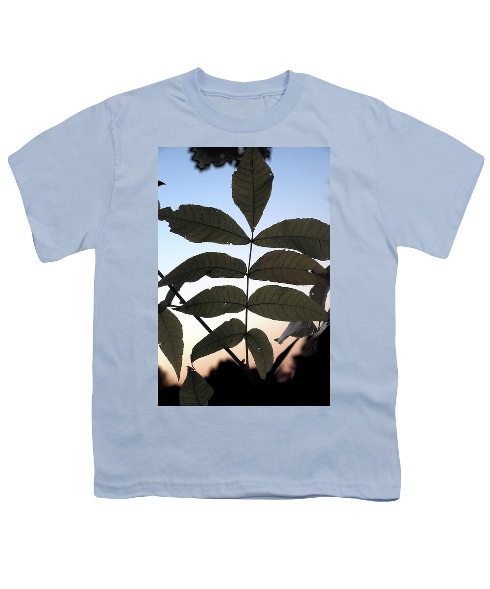 Leaves Youth T-Shirt featuring the photograph Fall Leaves by George Taylor