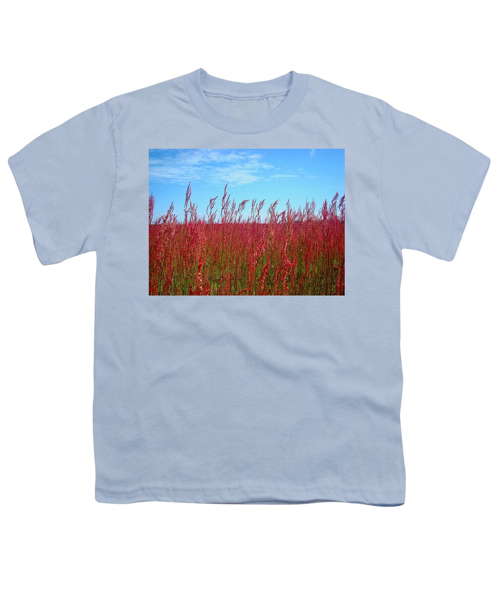Pink Youth T-Shirt featuring the photograph Fields of Pink by Julie Pappas