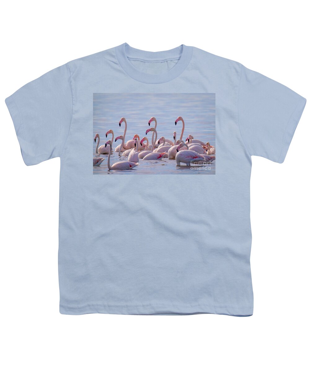 Animalia Youth T-Shirt featuring the photograph Flamingo Family in Kalochori Lagoon Greece by Jivko Nakev