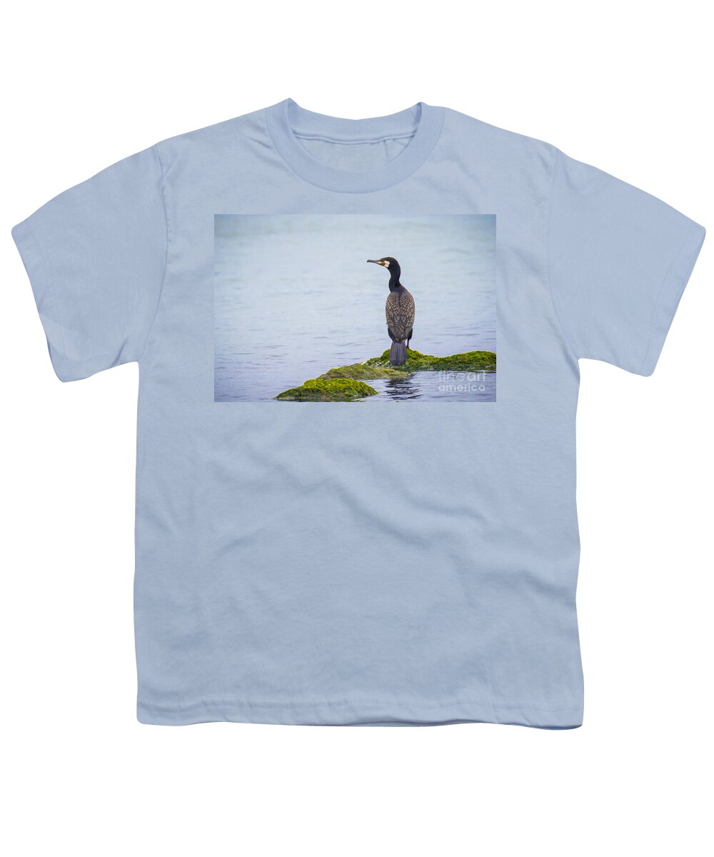 Animalia Youth T-Shirt featuring the photograph Great Black Cormorant by Jivko Nakev