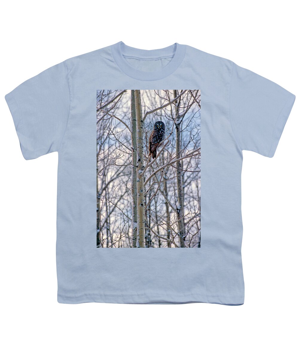 Canada Youth T-Shirt featuring the photograph Great Grey Owl by Doug Gibbons