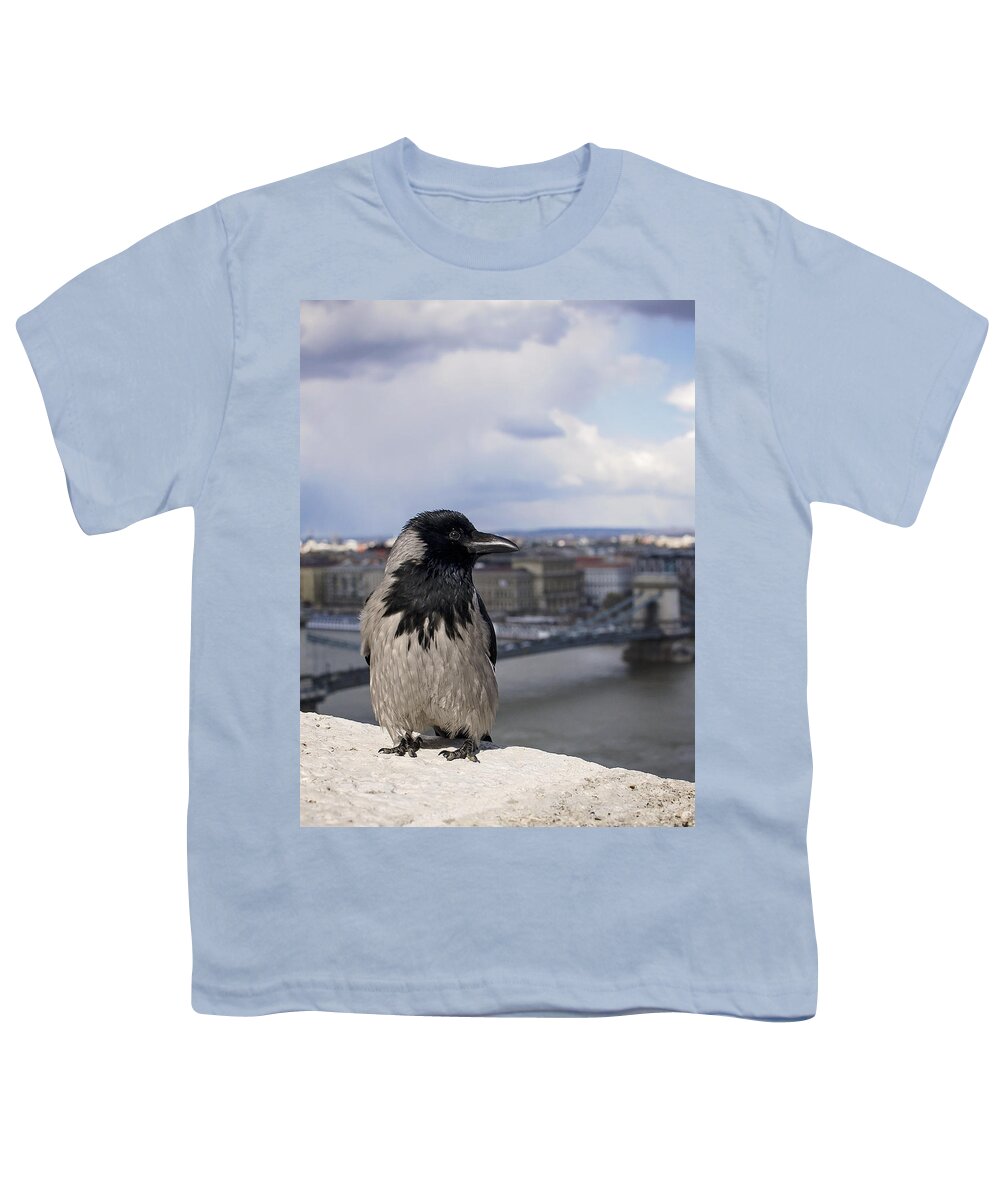 Hooded Crow Youth T-Shirt featuring the photograph Hooded Crow by Heather Applegate