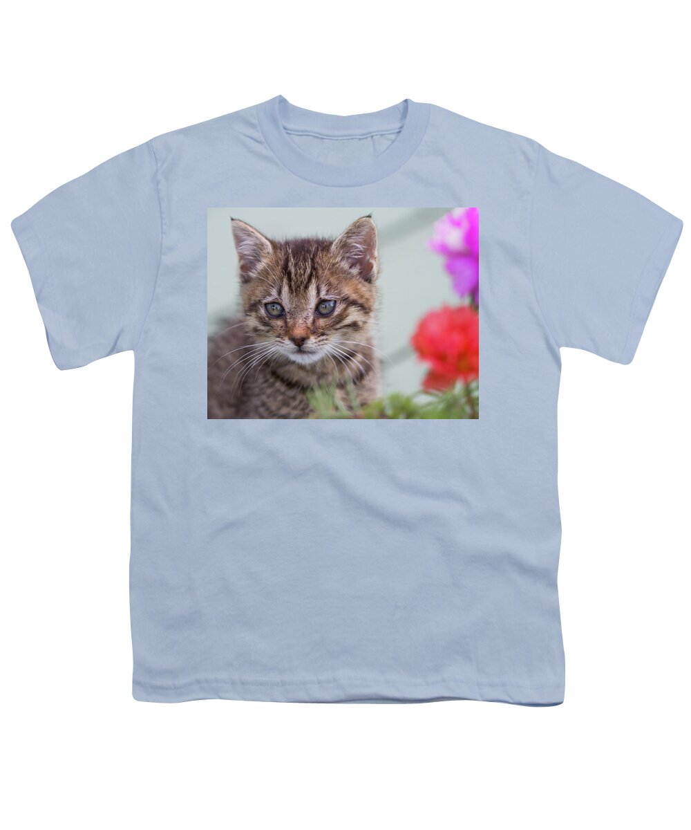 Kitty Youth T-Shirt featuring the photograph Kitty Kitty by Kathy Clark