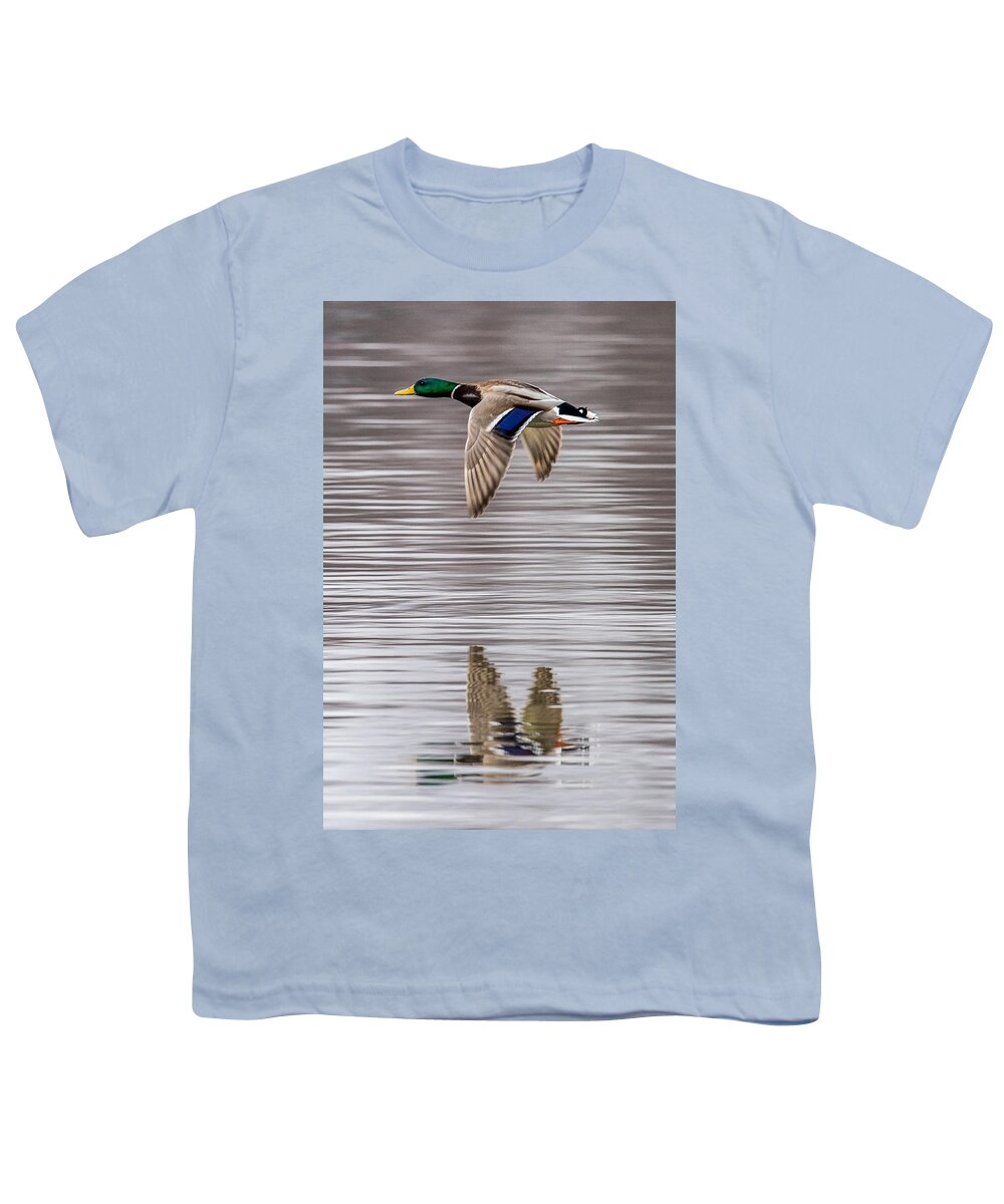 Mallard Youth T-Shirt featuring the photograph Mallard Reflections by Paul Freidlund