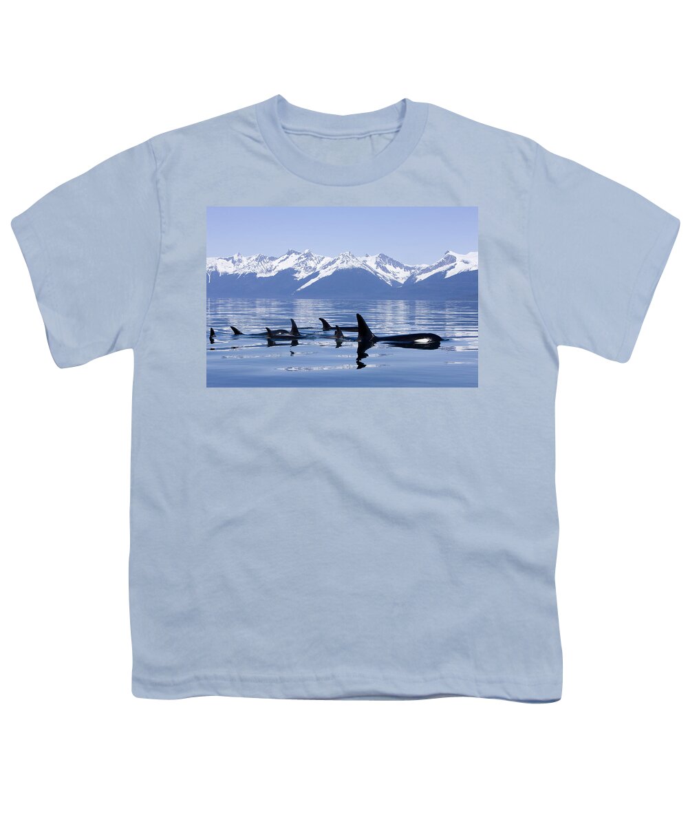 Alaska Youth T-Shirt featuring the photograph Many Orca Whales by John Hyde - Printscapes