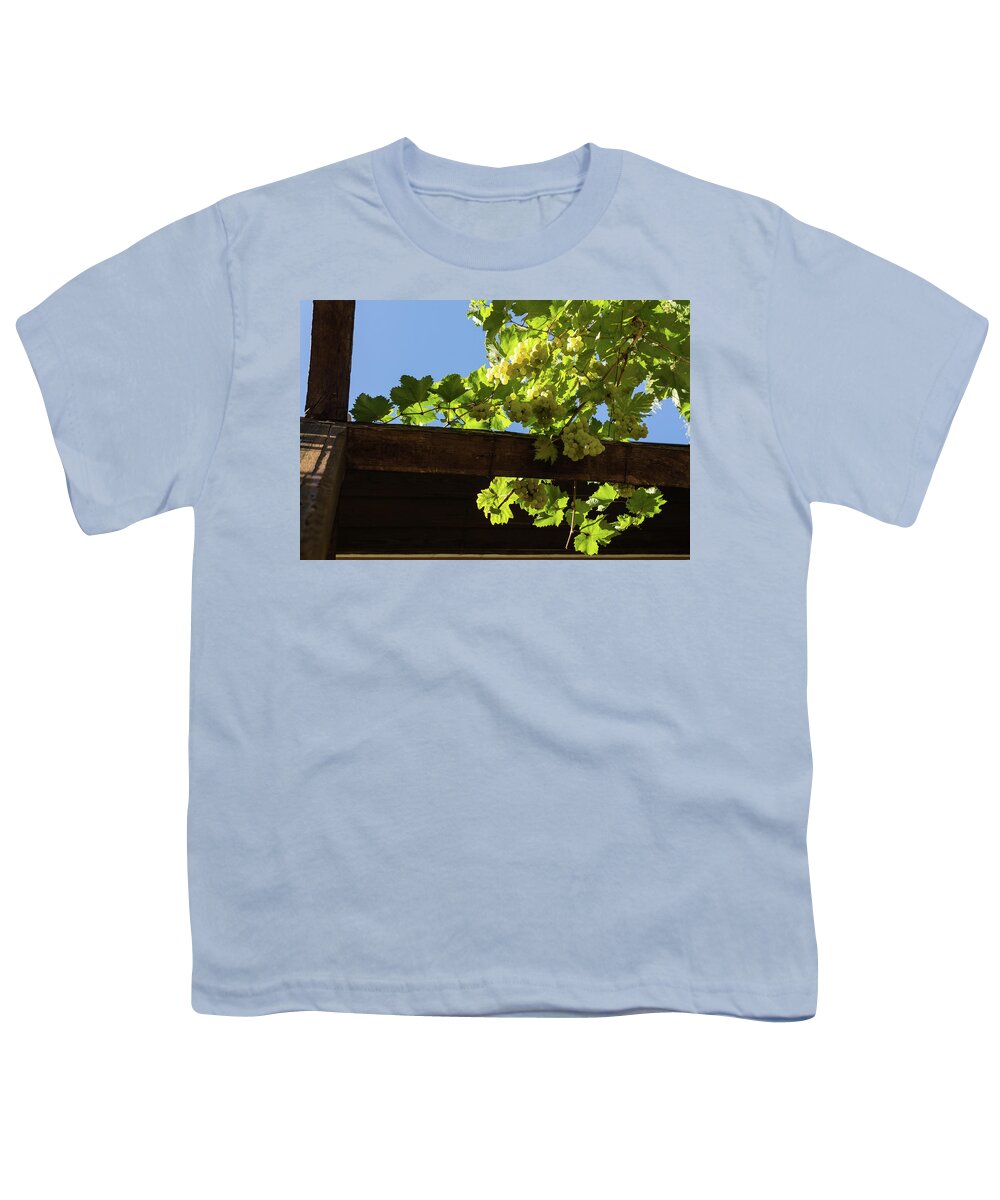Georgia Mizuleva Youth T-Shirt featuring the photograph Overhead Grape Harvest - Summertime Dreams of Fine Wine by Georgia Mizuleva