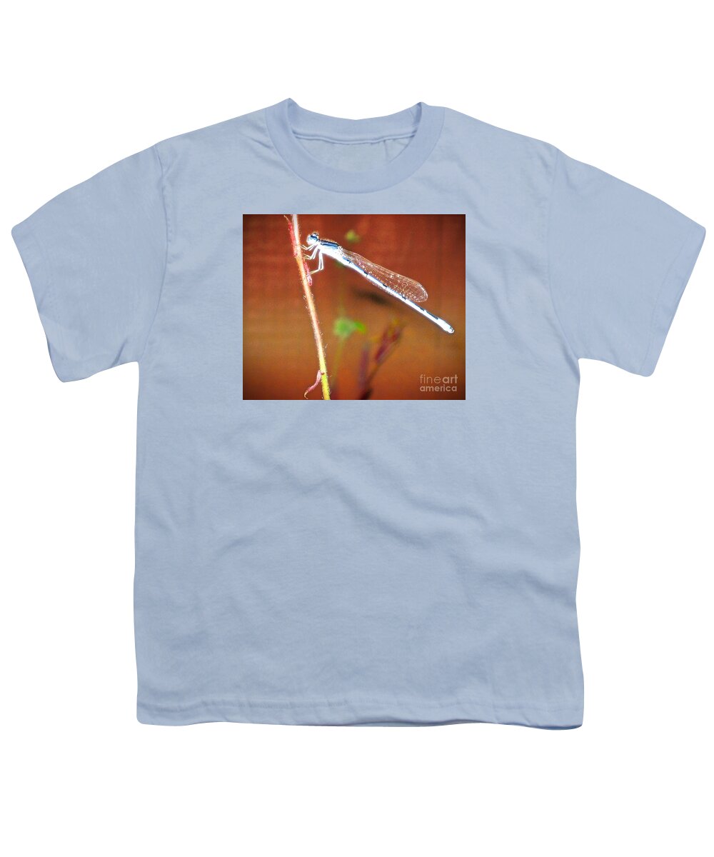Tiny Dragonfly(or Damselfly) Youth T-Shirt featuring the photograph Pretty Tiny Dragonfly by Phyllis Kaltenbach