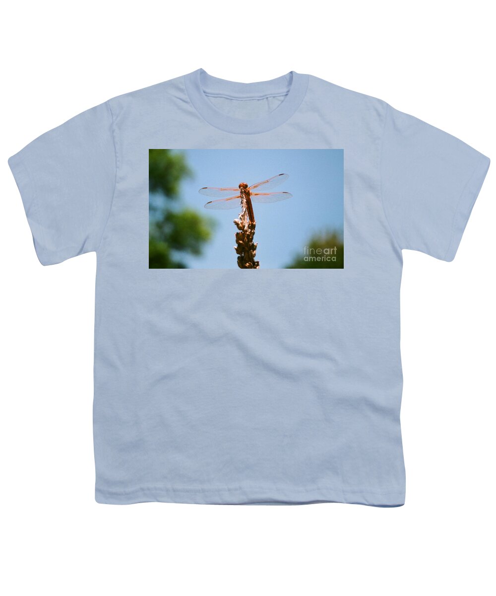 Dragonfly Youth T-Shirt featuring the photograph Red Dragonfly by Dean Triolo