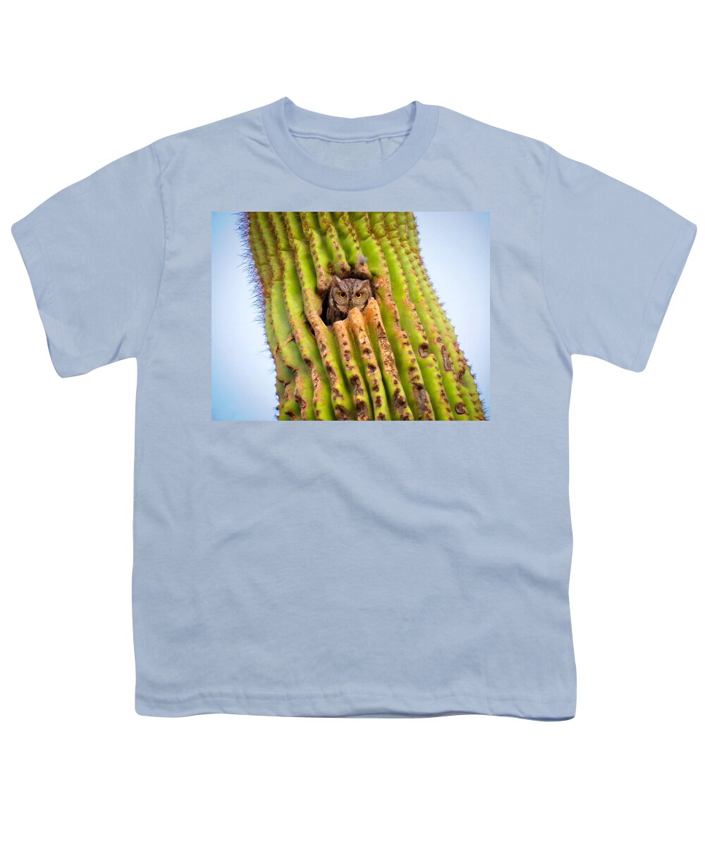Animals Youth T-Shirt featuring the photograph Screech Owl in Saguaro by Judy Kennedy