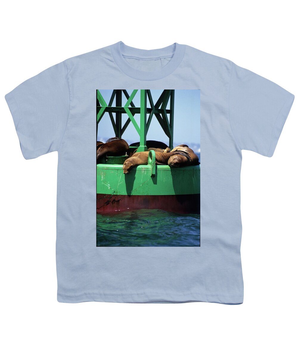 Seals Youth T-Shirt featuring the photograph Seals on channel marker by David Shuler