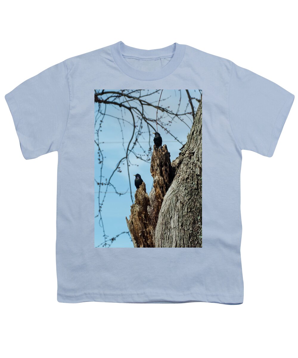 Jan Holden Youth T-Shirt featuring the photograph Starlings Times Two by Holden The Moment