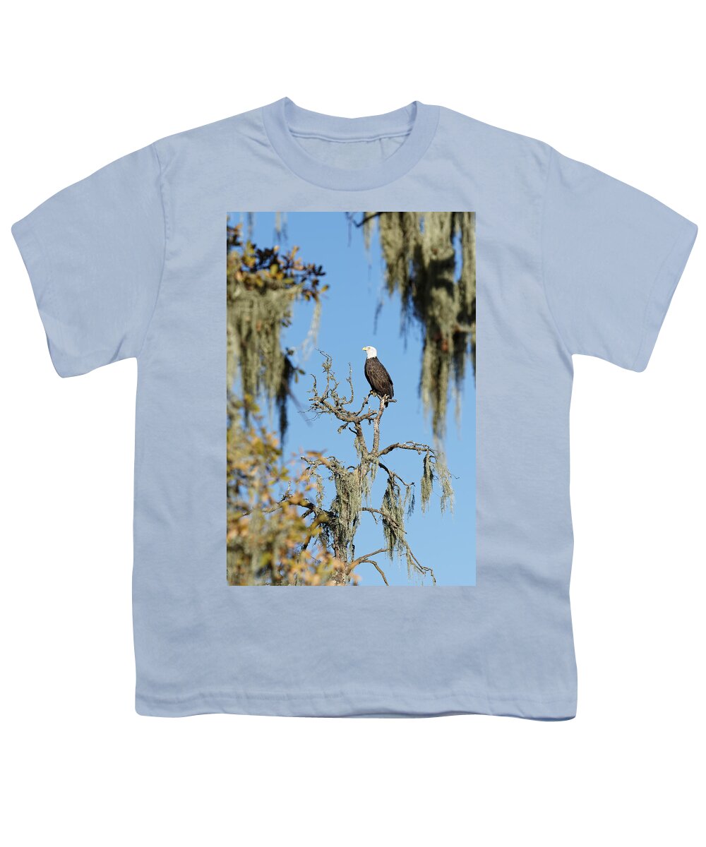 Tranquility Base Youth T-Shirt featuring the photograph Tranquility Base -- Bald Eagle at Atascadero Lake Park, Atascadero, California by Darin Volpe