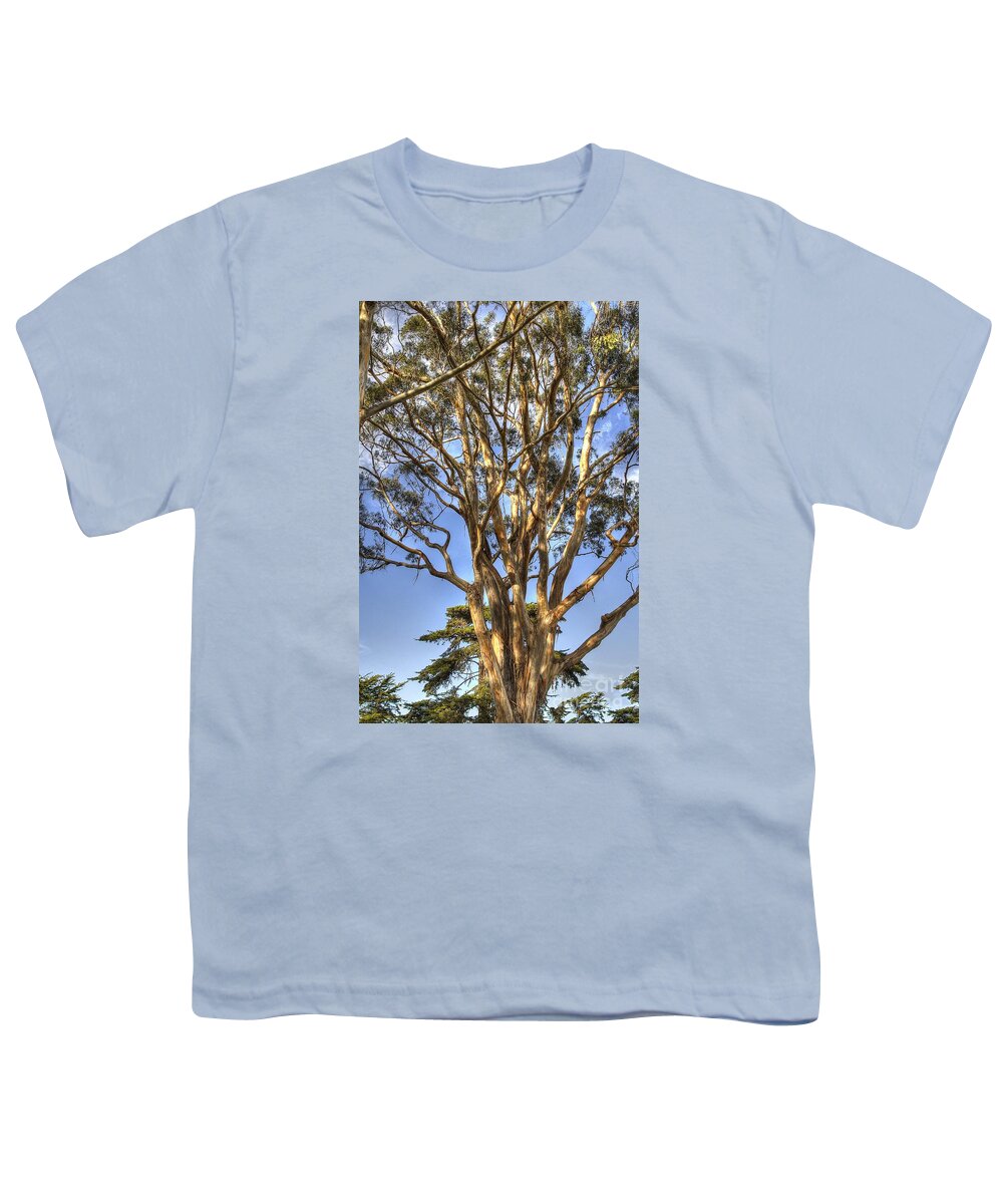 Hdr Process Youth T-Shirt featuring the photograph Tree to the Heavens by Mathias 
