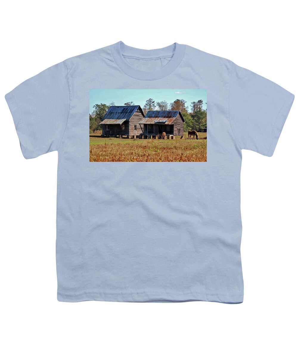 House Youth T-Shirt featuring the photograph Two Of Each by Cynthia Guinn