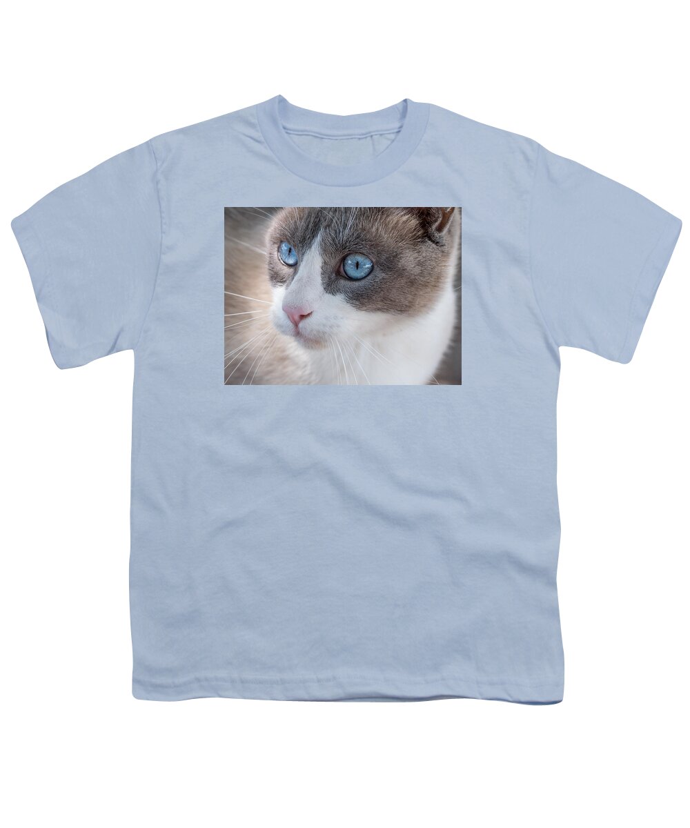 Cat Youth T-Shirt featuring the photograph Whiskers by Derek Dean
