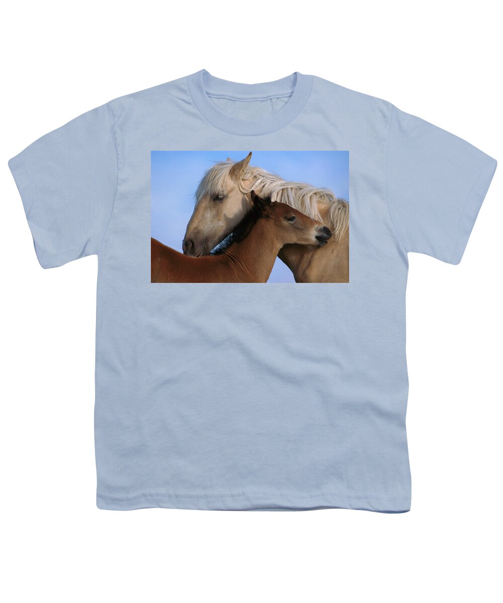 00340033 Youth T-Shirt featuring the photograph Wild Mustang Filly and Foal by Yva Momatiuk and John Eastcott