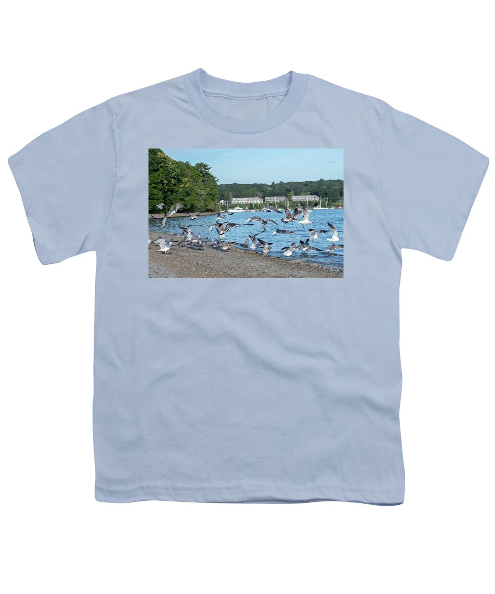 Bay Youth T-Shirt featuring the photograph seagulls over Greenwich Bay Harbor Seaport in east greenwich Rho #2 by Alex Grichenko