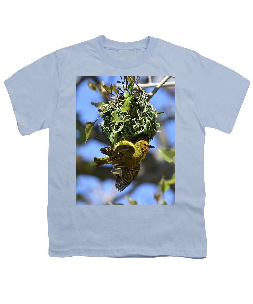 Weaver Youth T-Shirt featuring the photograph Cape Weaver and Nest by Ben Foster