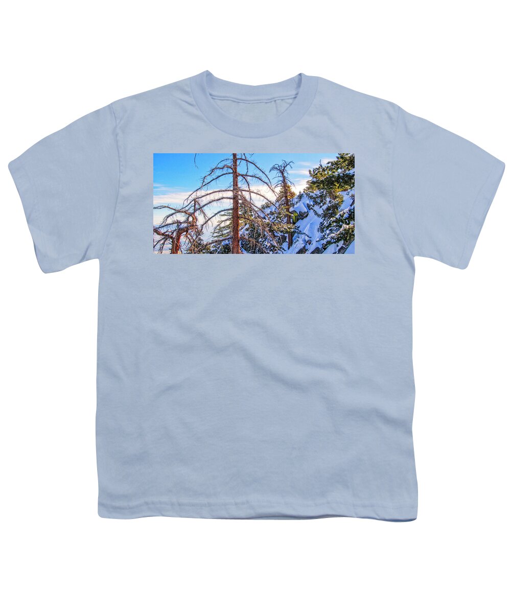 Palm Springs Aerial Tram_ Forest In The Sky Youth T-Shirt featuring the photograph Forest in the Sky by Sandra Selle Rodriguez