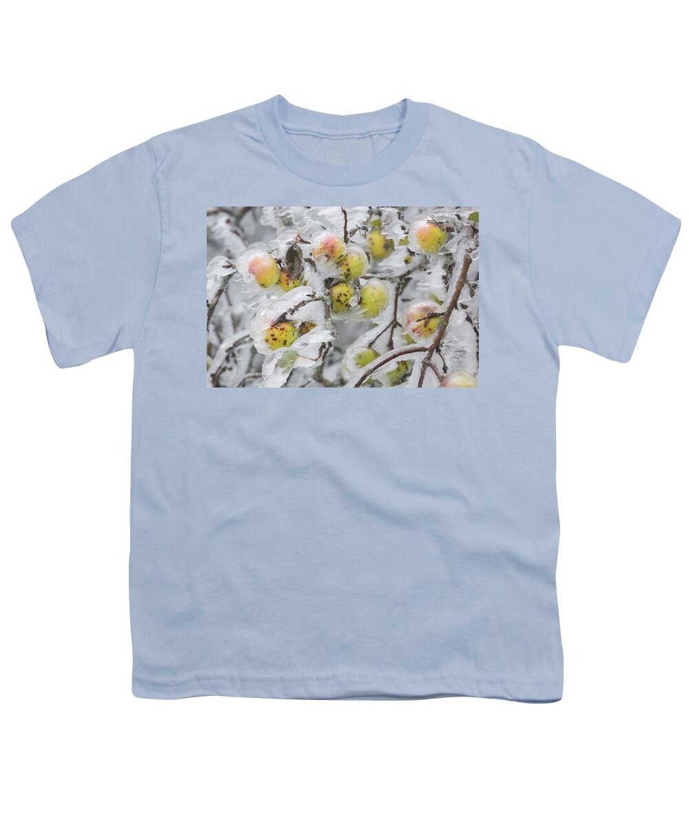 Estock Youth T-Shirt featuring the digital art Frozen Apple Tree by Rainer Mirau