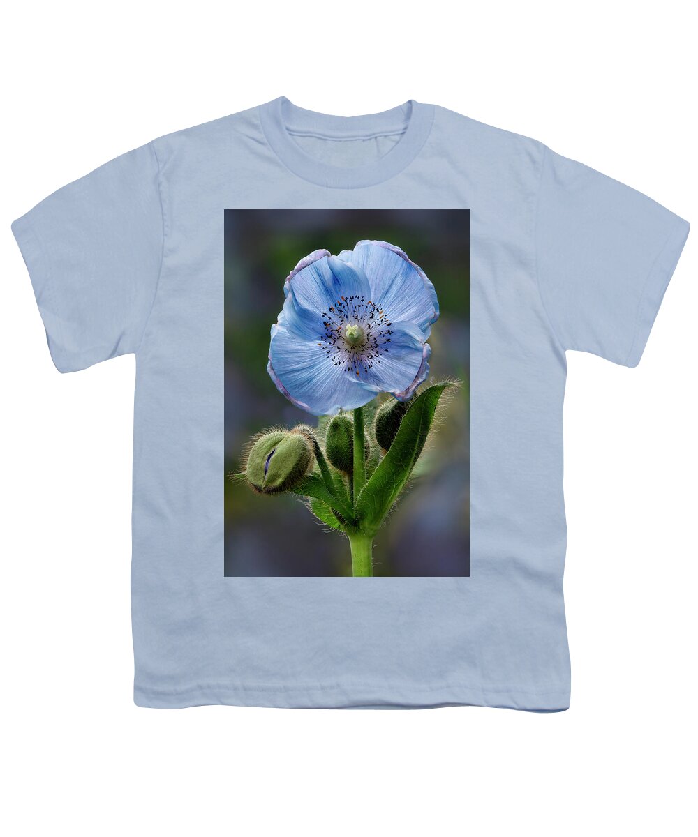 Poppy Youth T-Shirt featuring the photograph Himalayan Blue Poppy Flower And Buds by Susan Candelario