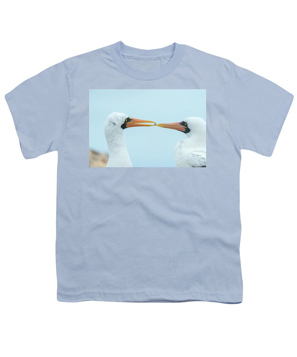 Animal Youth T-Shirt featuring the photograph Nazca Booby Gift Exchange by Tui De Roy