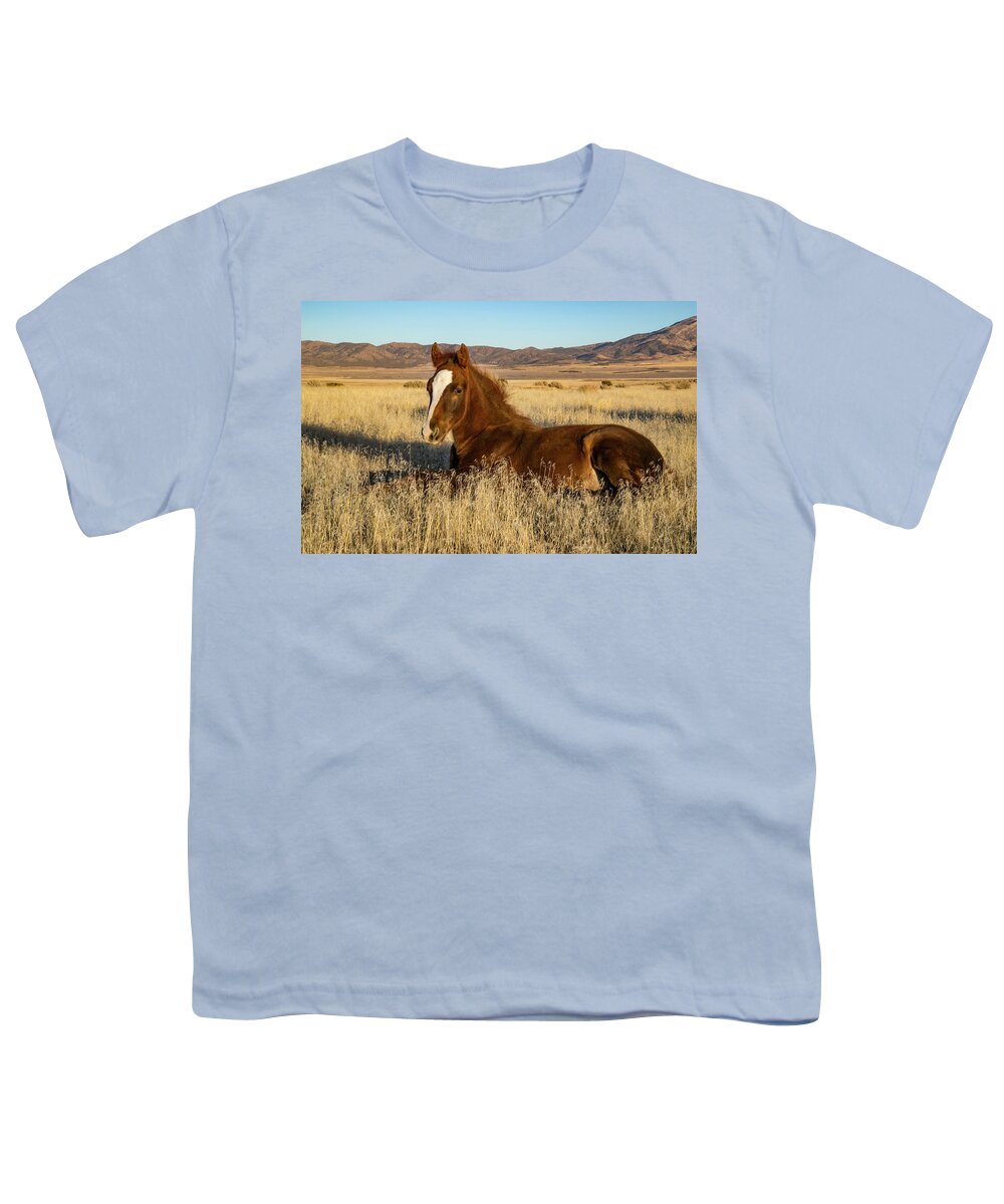 Horse Youth T-Shirt featuring the photograph Resting Foal by Kent Keller