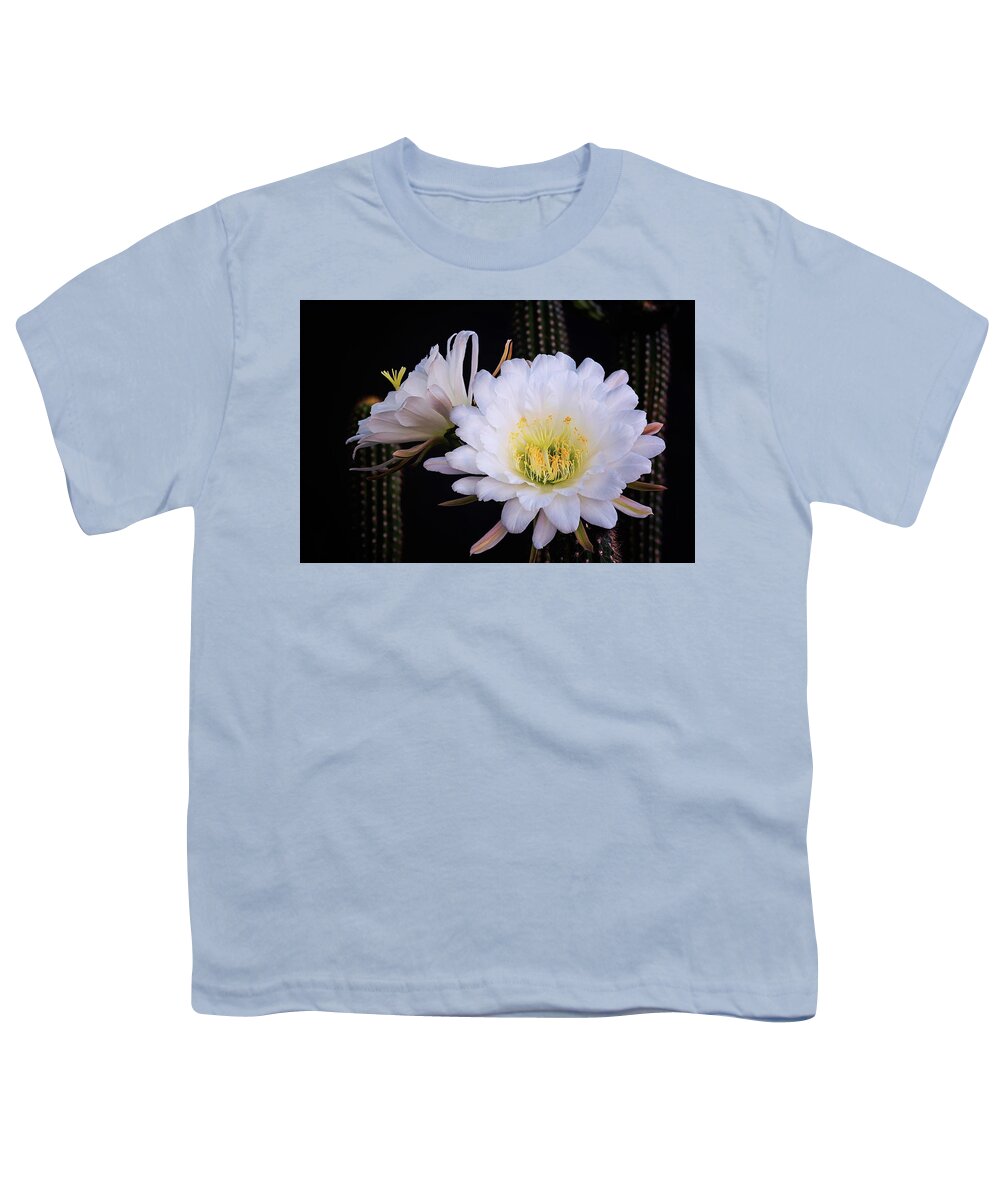 Torch Cactus Youth T-Shirt featuring the photograph White Echinopsis Blooms by Saija Lehtonen