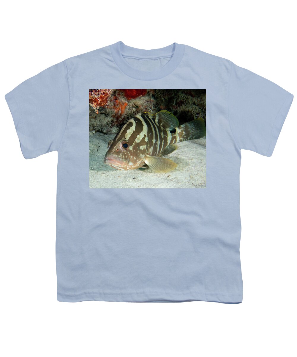 Grouper Youth T-Shirt featuring the photograph Nassau Grouper #2 by Brian Weber