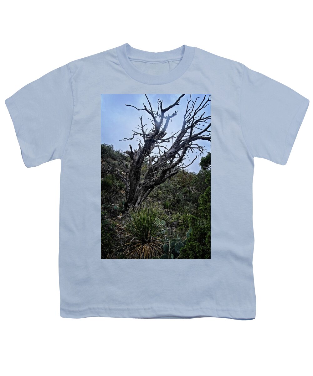 Tree Youth T-Shirt featuring the photograph Tree and Shrubs at McKittrick #2 by George Taylor