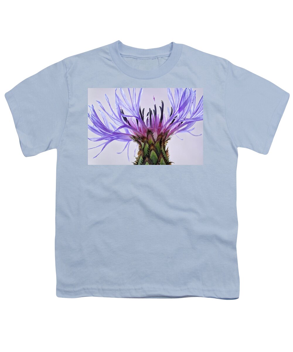 Floral Youth T-Shirt featuring the photograph Batchelors Button #6 by Shirley Mitchell