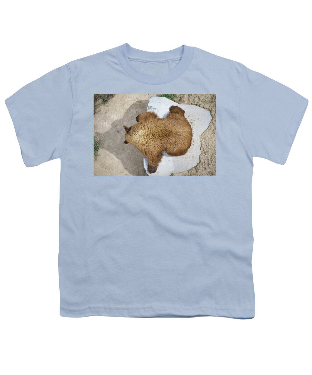 Colorado Youth T-Shirt featuring the photograph Black Bear Siesta by Tara Krauss