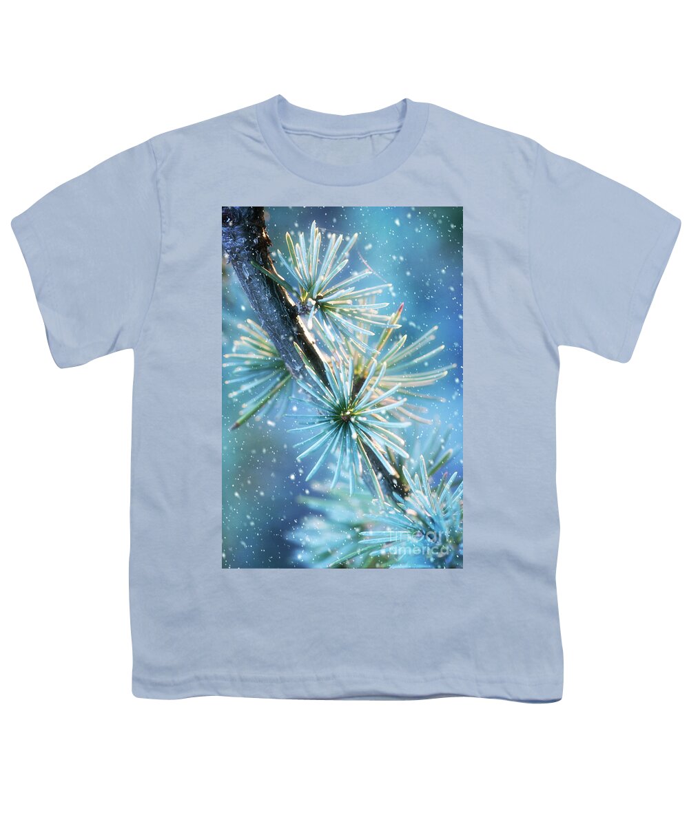 Public Gardens Youth T-Shirt featuring the photograph Blue Atlas Cedar Branch Dressed for Winter by Anita Pollak